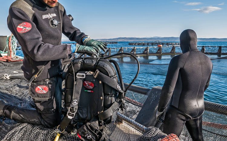 Aquaculture and fishing